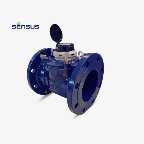 Water Meter Sensus 6 inch