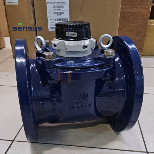 Water Meter Sensus 6 inch
